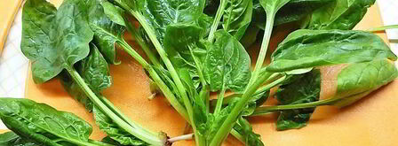 роллы из тыквы со шпинатом, копченостями и фисташковым майонезом. Шаг 13