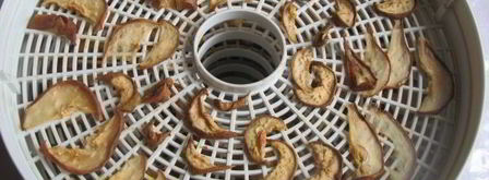 сушеные груши. Шаг 9