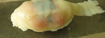 суши рыбки. Шаг 7