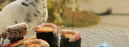 суши, запеченные со спайси соусом с крабовыми палочками. Шаг 13