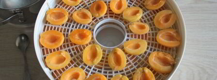 сушка абрикосов в электросушилке. Шаг 9