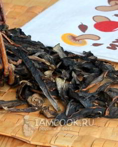 Сушка грибов в сушилке