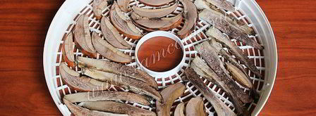 сушка грибов в сушилке. Шаг 7