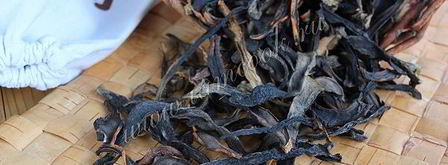 сушка грибов в сушилке. Шаг 10