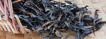 сушка грибов в сушилке. Шаг 11