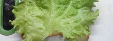 сэндвич с омлетом. Шаг 4