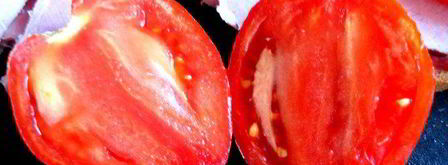 сэндвич с ветчиной и салями. Шаг 16