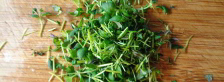 мини-тарты со сладким перцем. Шаг 4