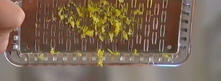 тосты с патэ из копченой форели. Шаг 4