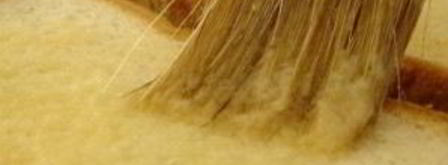 тосты с сыром и чесноком. Шаг 4