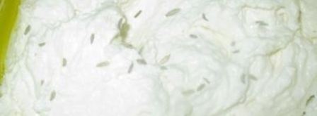 вареный сыр. Шаг 5