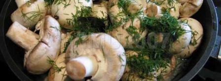 закуска из грибов. Шаг 17