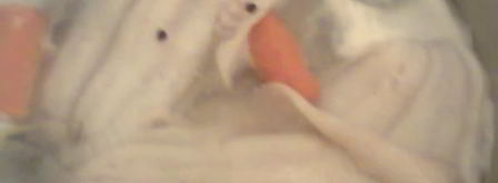 заливная рыба. Шаг 4