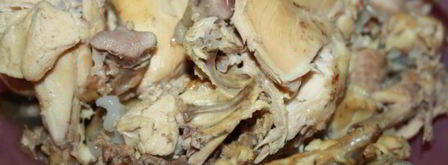 заливное из куриных бедрышек. Шаг 4