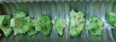 заливное из курицы с брокколи. Шаг 15