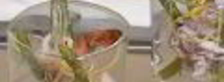 заливное из морепродуктов в бокалах. Шаг 7