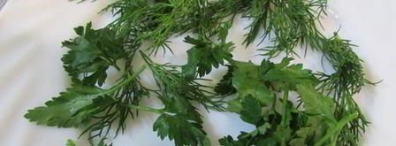 заливное морское дно. Шаг 6